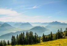 Ile komornik musi zostawić na koncie w 2023 roku?