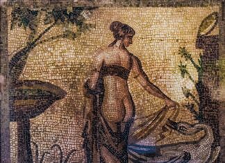 Czy NIP i VAT to to samo?