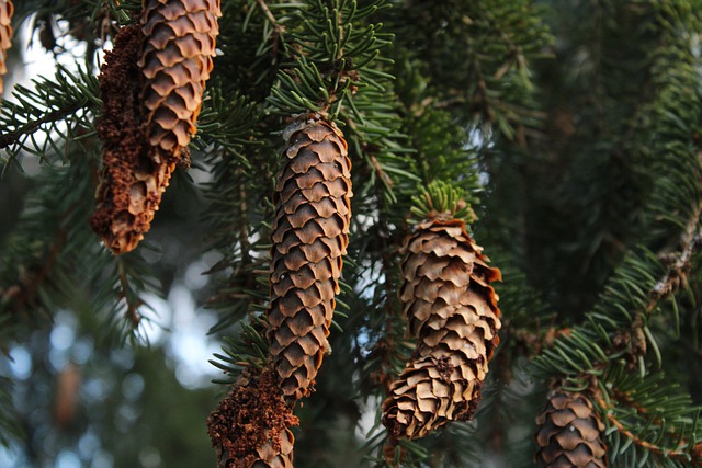 Jak sprawdzić ile razy była odwiedzana strona? Jak sprawdzić ile razy była odwiedzana strona?