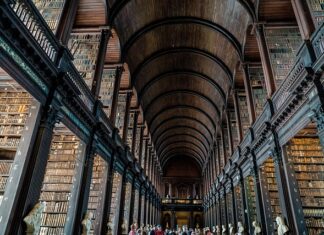 Czy uczelnią płaci za doktorat?