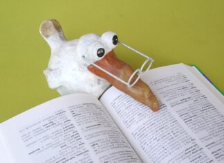 Jakie języki programowania mają przyszłość?