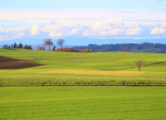 Ile netto z 15000 brutto?