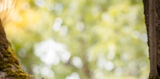 Kto nie ma zdolności kredytowej?