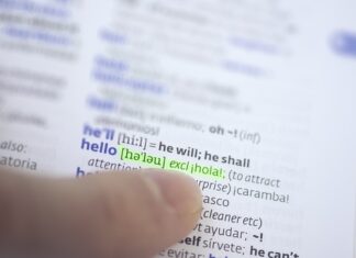 Jak nazywa się dział językoznawstwa zajmujący się opisem głosek danego języka?