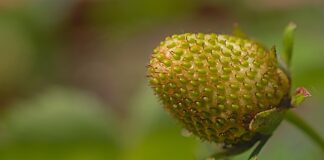 Co mogę zrobić dla swojej dojrzałości i rozwoju?