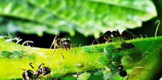 Jak nawiązać współpracę?