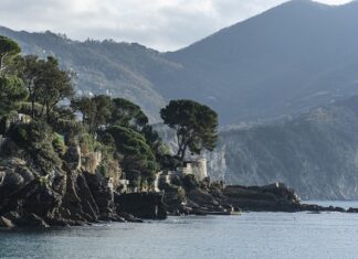 Ile kosztuje post na Instagram?