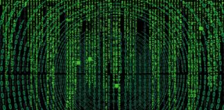 Jak sprawdzić czy nazwa firmy jest wolna?