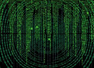 Jak sprawdzić czy nazwa firmy jest wolna?