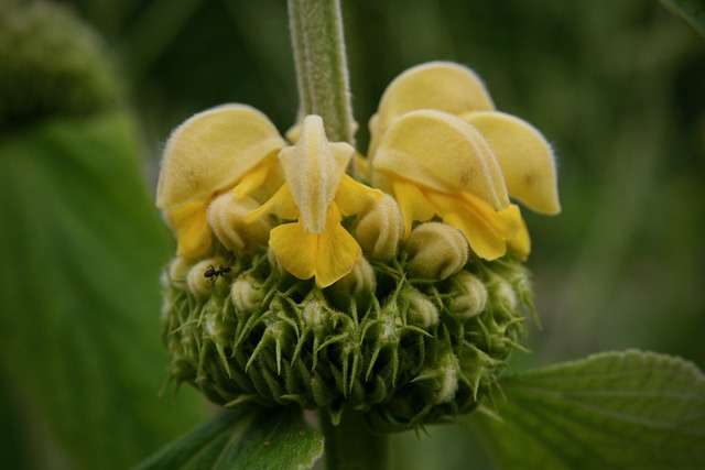 Co to jest brand Bidding? Co to jest brand Bidding?