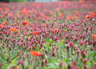 Co to jest kontekst w komunikacji?
