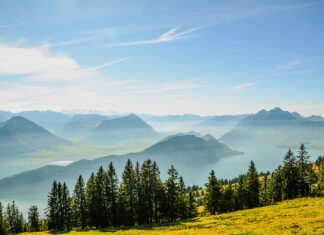 Czy komornik widzi stan konta?