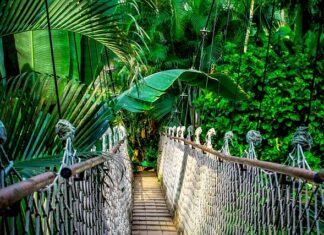 Ile trwa kurs Google Ads?