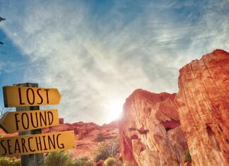 Ile kosztuje szyld na sklep?