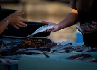 Jak sprzedawać swój produkt w Żabce?