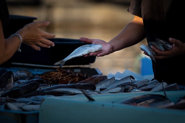 Jak sprzedawać swój produkt w Żabce?