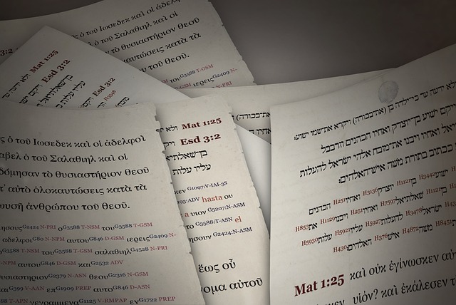 Czy filologia to językoznawstwo?