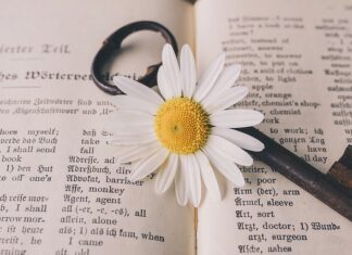 Ile zarabia się jako tłumacz?