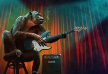 Jakie są etapy procesu spedycyjnego?