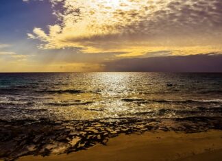 Jak być miłym dla klientów?