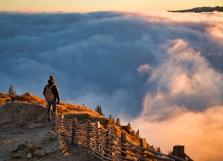 Jakie cechy powinien mieć dobry obserwator?