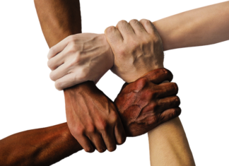 Jak budować społeczność w internecie?